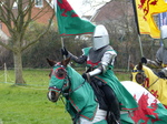 FZ013084 Welsh knight.jpg